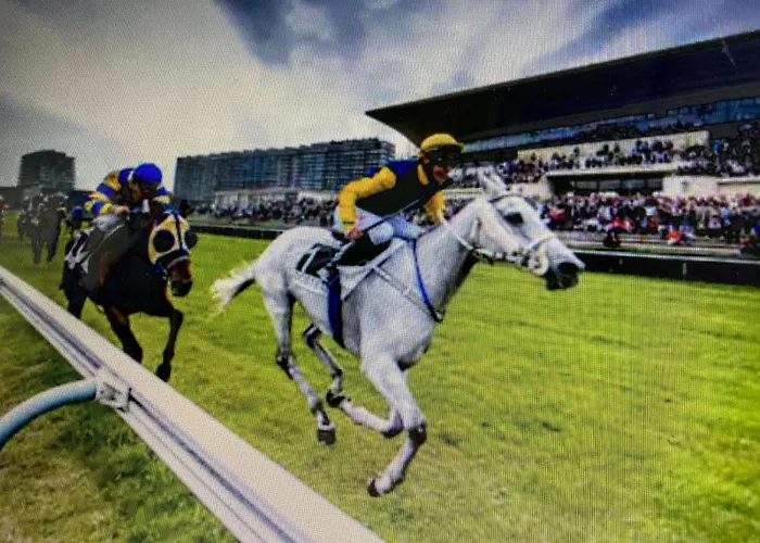 Tiny W/ Balcony And Seaview, Even Out Of Your Bed ! Apartment *